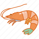 crustacean, fish, market, ocean, prawn, seafood, shrimp