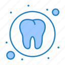 dental, health, medical, tooth