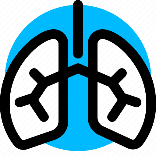 Breath, lungs, organ icon - Download on Iconfinder