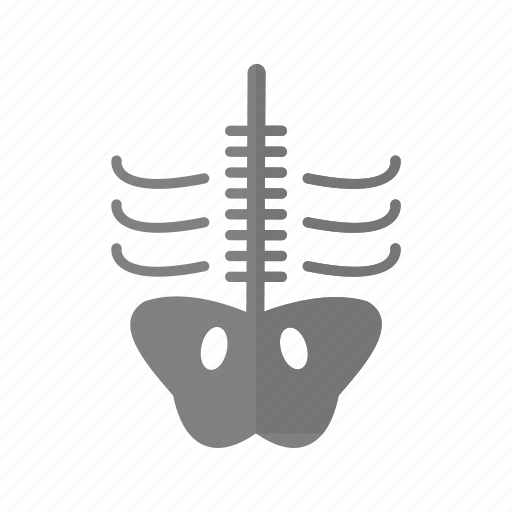 Skeleton, bone, x ray icon - Download on Iconfinder