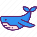 whale, mammal, fish, ocean