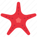 starfish, sealife, ocean, creature, mammal