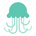 aquatic animal, jellyfish, ocean, sea