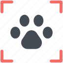 animal, dog, footprint, paw, pet