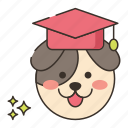 dog, training, pet, animal, graduation