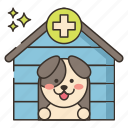 pet, health, dog