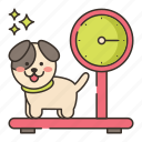 pet, scale, dog, weight