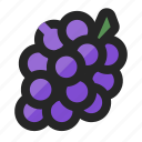 berry, cooking, food, fruit, funky, grape, juicy