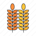 agriculture, grain, leaf, plant, wheat