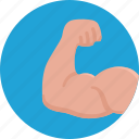 arm, bodybuilding, fitness, force, muscles, sport, strength