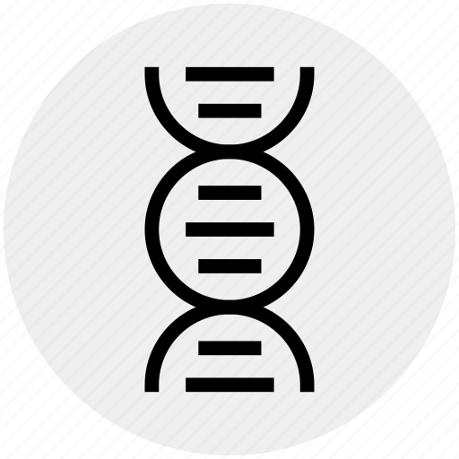 Chain, dna, genetics, helix, molecule, science, strand icon - Download on Iconfinder