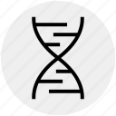 chain, dna, genetics, helix, molecule, science, strand