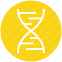 chain, dna, genetics, helix, molecule, science, strand