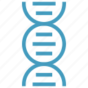 chain, dna, genetics, helix, molecule, science, strand