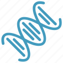 chain, dna, genetics, helix, molecule, science, strand