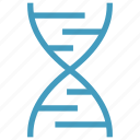 chain, dna, genetics, helix, molecule, science, strand