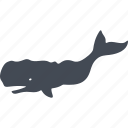 animal, fish, ocean, sea, nature, predator, shark