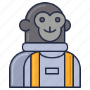 monkey, astronaut, cosmonaut, space monkey