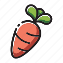 carrot, vegetable