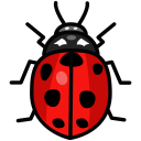 bug, ladybird, ladybug, virus