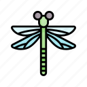 insect, dragonfly, bug, spring, nature, season