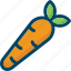 carrot, food, vegetable 