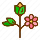 flower, nature, spring, summer, tree