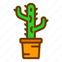 cactus, desert, nature, pot, tropical