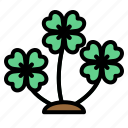 spring, clover, leaf, luck, lucky