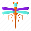 animal, dragonfly, fly, insect