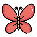 bug, butterfly, flower, insect, spring