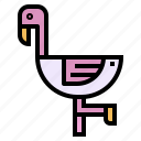 animal, bird, flamingo, zoo