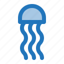 animal, jellyfish, ocean, sea, summer