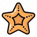 starfish, sea, ocean, star, fish, animal