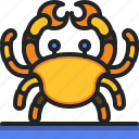 crab, beach, animals, aquatic, sea