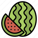 summer, watermelon, melon, fruit, nutrition