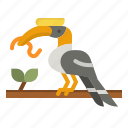 hornbill, bird, entertainment, feather, zoo