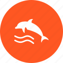 dolphin, fish, marine, ocean, swim, water, whale