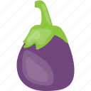 brinjal, eggplant, food, ingredient, organic, vegetable