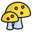 mushroom, vegetable, fungus, healthy, toadstool, fungi, cuisine