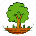 forest, leaf, nature, plant, tree