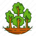 forest, leaf, nature, plant, tree