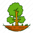 forest, leaf, nature, plant, tree