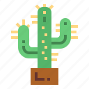 botanical, cactus, dry, nature