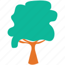 generic tree, summer tree, tree, shrub