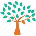 generic, spreading, spring tree, tree