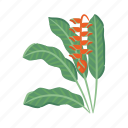 heliconia, flower, bird, of, paradise, tropical, plant