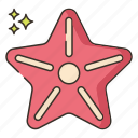 ocean, sea, star, starfish