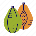 food, fruit, fruit icon, green, papaya