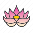 flower, lotus, plant, spa